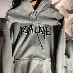 brandy melville one sized hoodie , very comfortable for the winter and cozy
